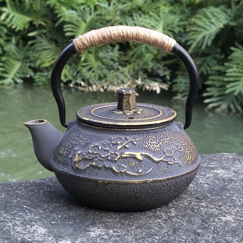 Cast Iron Teapot Japanese Tets - Cast Iron Teapot review and price